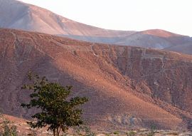 Lais Puzzle - Geoglyphen von Lamas in Chen Chen (Moquegua, Südperu) - 100, 200, 500 & 1.000 Teile