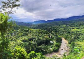 Lais Puzzle - Tarapoto, Peru - 100, 200, 500 & 1.000 Teile