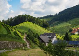 Lais Puzzle - Ein Spaziergang durch die Gemeinde Durbach im Ortenaukreis, Deutschland - 100, 200, 500 & 1.000 Teile