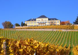 Lais Puzzle - Schloss Johannisberg im Rheingau - 100, 200, 500 & 1.000 Teile