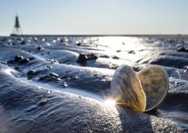 Lais Puzzle - Sandschneise im Wattenmeer in Cuxhaven mit der Kugelbake, einem historischen Hilfsmittel am nördlichsten Punkt Niedersachsens, im Hintergrund - 100, 200, 500 & 1.000 Teile
