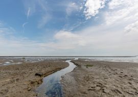 Lais Puzzle - Nahaufnahme des Gezeitenwegs am Sylter Wattenmeer / Deutschland - 100, 200, 500 & 1.000 Teile