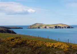 Lais Puzzle - Cardigan Island, Ceredigion, Wales - 100, 200, 500 & 1.000 Teile
