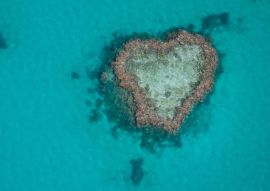 Lais Puzzle - Herz-Riff im Great Barrier Reef, vom Wasserflugzeug aus gesehen - 100, 200, 500 & 1.000 Teile