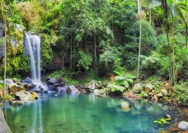 Lais Puzzle - Mount Tamborine, Queensland, Australien - 100, 200, 500 & 1.000 Teile