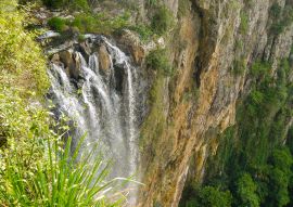 Lais Puzzle - Purlingbrook Falls im Springbrook Nationalpark, Queensland in Australien - 100, 200, 500 & 1.000 Teile