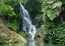 Lais Puzzle - Wasserfall im Lamington National Park in Queensland, Australien - 100, 200, 500 & 1.000 Teile