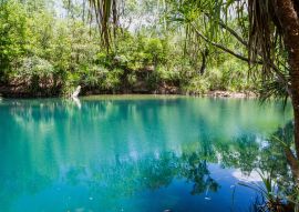 Lais Puzzle - Berry Springs, eine Süßwasserquelle im Northern Territory, Australien - 100, 200, 500 & 1.000 Teile