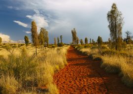 Lais Puzzle - Uluru Landschaft, Australien - 100, 200, 500 & 1.000 Teile