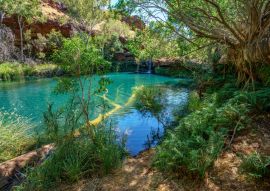 Lais Puzzle - Fern-Pool in der Dales-Schlucht, Karijini-Nationalpark, Westaustralien - 100, 200, 500 & 1.000 Teile