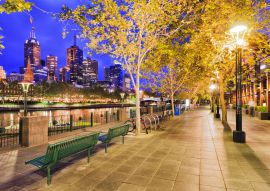 Lais Puzzle - Nachtansicht vor dem Fluss in der Stadt Melbourne, Australien - 100, 200, 500 & 1.000 Teile