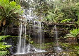 Lais Puzzle - Russell Falls liegt in Tasmanien, Australien. Er befindet sich in einem üppigen, grünen Regenwald. - 100, 200, 500 & 1.000 Teile