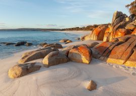Lais Puzzle - Mit Flechten bedeckte Felsen. Bay of Fires. Tasmanien. Australien - 100, 200, 500 & 1.000 Teile