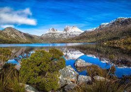 Lais Puzzle - Cradle Mountain, Region Central Highlands im australischen Bundesstaat Tasmanien. Der Berg befindet sich im Cradle Mountain-Lake St Clair National Park - 100, 200, 500 & 1.000 Teile
