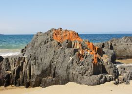 Lais Puzzle - Spiky Beach, Küste bei Swansea, Tasmanien, Australien - 100, 200, 500 & 1.000 Teile