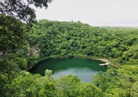 Lais Puzzle - Cenote Miguel Colorado, Mexiko - 100, 200, 500 & 1.000 Teile