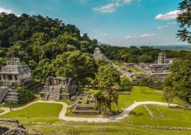 Lais Puzzle - Antike Maya aus Palenque, Chiapas - Mexiko - 100, 200, 500 & 1.000 Teile