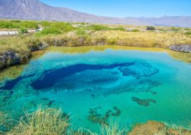 Lais Puzzle - Farbenfrohe Poza azul in Cuatrocienegas, Coahuila, Mexiko - 100, 200, 500 & 1.000 Teile