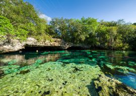 Lais Puzzle - Cenote Azul, Riviera Maya, Playa Del Carmen, Mexiko - 100, 200, 500 & 1.000 Teile