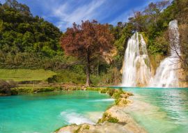 Lais Puzzle - Minas Viejas Wasserfall, Mexiko - 100, 200, 500 & 1.000 Teile