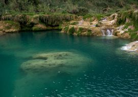 Lais Puzzle - Türkisfarbenes Wasserbecken mit Kalksteinformationen unter Wasser, umgeben von Wasserfällen im mit Farnen bewachsenen Fels, Mexiko - 100, 200, 500 & 1.000 Teile