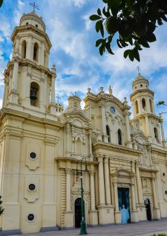 Lais Puzzle - Kathedrale Mariä Himmelfahrt - Hermosillo, Mexiko - 100, 200, 500 & 1.000 Teile