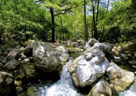 Lais Puzzle - Los Troncones, Tamaulipas, Mexiko - 100, 200, 500 & 1.000 Teile