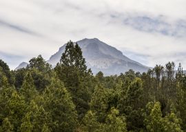 Lais Puzzle - La Malinche National Park Tlaxcala, Mexiko - 100, 200, 500 & 1.000 Teile