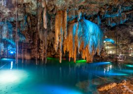 Lais Puzzle - Cenote Dzitnup bei Valladolid, Mexiko - 100, 200, 500 & 1.000 Teile