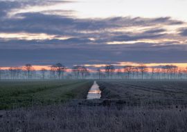 Lais Puzzle - Sonnenaufgang Ter Apel Westerwolde Niederlande - 100, 200, 500 & 1.000 Teile