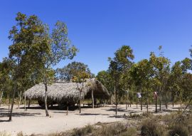 Lais Puzzle - Jalapao State Park in Tocantins, Brasilien - 100, 200, 500 & 1.000 Teile