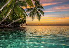 Lais Puzzle - Tropischer Strand - 100, 200, 500 & 1.000 Teile