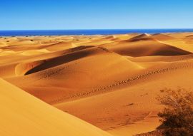 Lais Puzzle - Naturreservat der Dünen von Maspalomas, auf Gran Canaria, Spanien - 100, 200, 500 & 1.000 Teile