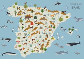 Lais Puzzle - Spaniens Tierleben - 500 & 1.000 Teile
