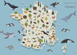 Lais Puzzle - Frankreichs Tierleben - 100, 200, 500 & 1.000 Teile