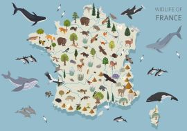 Lais Puzzle - Frankreichs Tierleben - 500 & 1.000 Teile