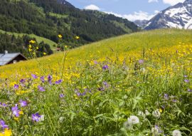 Lais Puzzle - Kleinwalsertal in Österreich - 100, 200, 500 & 1.000 Teile
