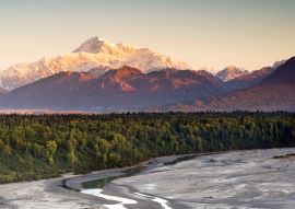 Lais Puzzle - Denali Nationalpark Alaska - 100, 200, 500 & 1.000 Teile