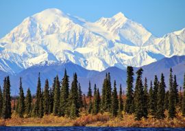 Lais Puzzle - Denali Nationalpark Alaska - 100, 200, 500 & 1.000 Teile