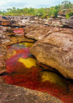 Lais Puzzle - Ein vielfarbiger Fluss in Kolumbien - 100, 200, 500 & 1.000 Teile