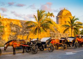 Lais Puzzle - Von Pferden gezogene touristische Kutschen in der historischen spanischen Kolonialstadt Cartagena de Indias, Kolumbien - 100, 200, 500 & 1.000 Teile
