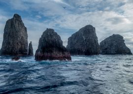 Lais Puzzle - Drei Musketiere Malepelo Kolumbien - 100, 200, 500 & 1.000 Teile