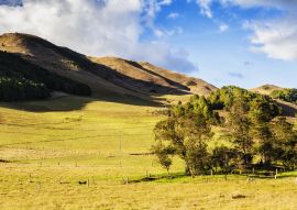 Lais Puzzle - Paisajes en Suesca, Cundinamarca (Kolumbien) - 100, 200, 500 & 1.000 Teile