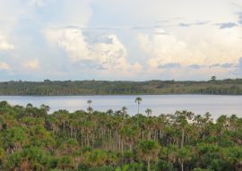 Lais Puzzle - Warum der Llano so schön ist, Kolumbien - 100, 200, 500 & 1.000 Teile