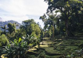 Lais Puzzle - Terrassen der verlorenen Stadt (Ciudad Perdida) in der Sierra Nevada de Sante Marta - Santa Marta/ Magdalena/ Kolumbien - 100, 200, 500 & 1.000 Teile