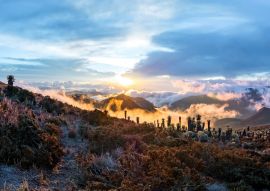 Lais Puzzle - Vulkan Tolima im Los Nevados National Park mit prächtiger Vegetation frailejones (Espeletia) Expedition mit Blick vom Basislager, Kolumbien - 100, 200, 500 & 1.000 Teile