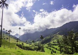 Lais Puzzle - Schöne Tageswanderung Landschaft von Valle del Cocora in Salento, Kolumbien - 100, 200, 500 & 1.000 Teile