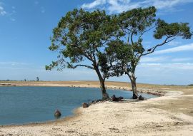 Lais Puzzle - Casanare - Kolumbien - 100, 200, 500 & 1.000 Teile