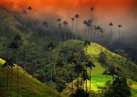 Lais Puzzle - Bewölkte Landschaft des Cocora-Tals, Salento, Kolumbien - 100, 200, 500 & 1.000 Teile