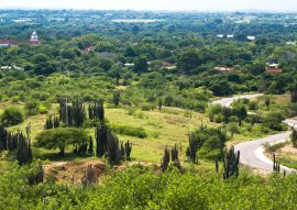 Lais Puzzle - Naturlandschaft in Huila, Neiva, Kolumbien - 100, 200, 500 & 1.000 Teile